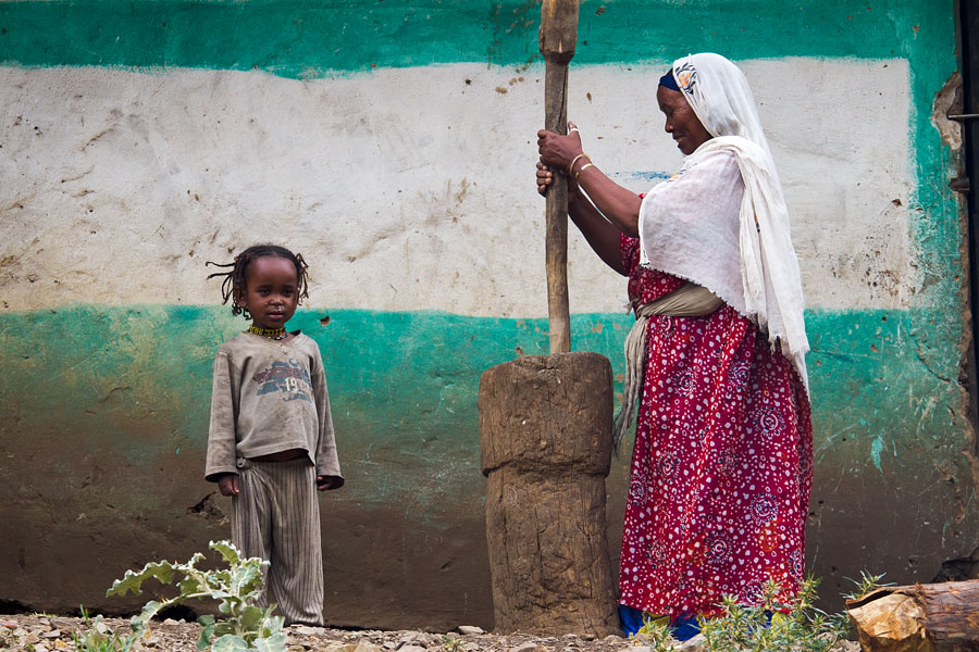 225   Threshing the sorgum. Dire Dawa   Ethiopia